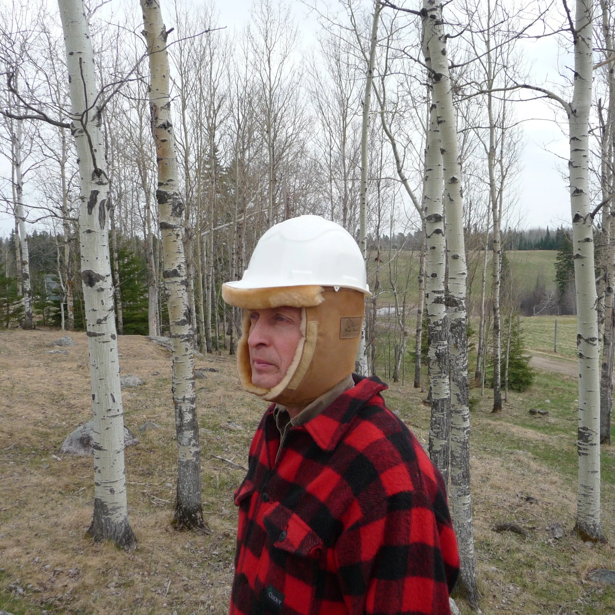Head Honcho Hard Hat Liner