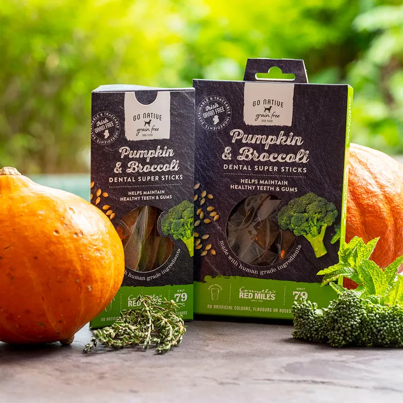 Red Mills - Go Native Dental Super Sticks Pumpkin